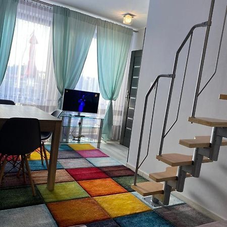 Apartament Szafran Вежхоцино Екстер'єр фото