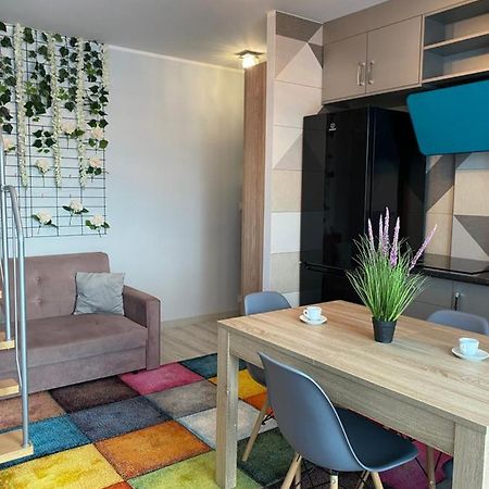 Apartament Szafran Вежхоцино Екстер'єр фото