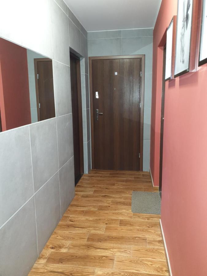 Apartament Szafran Вежхоцино Екстер'єр фото