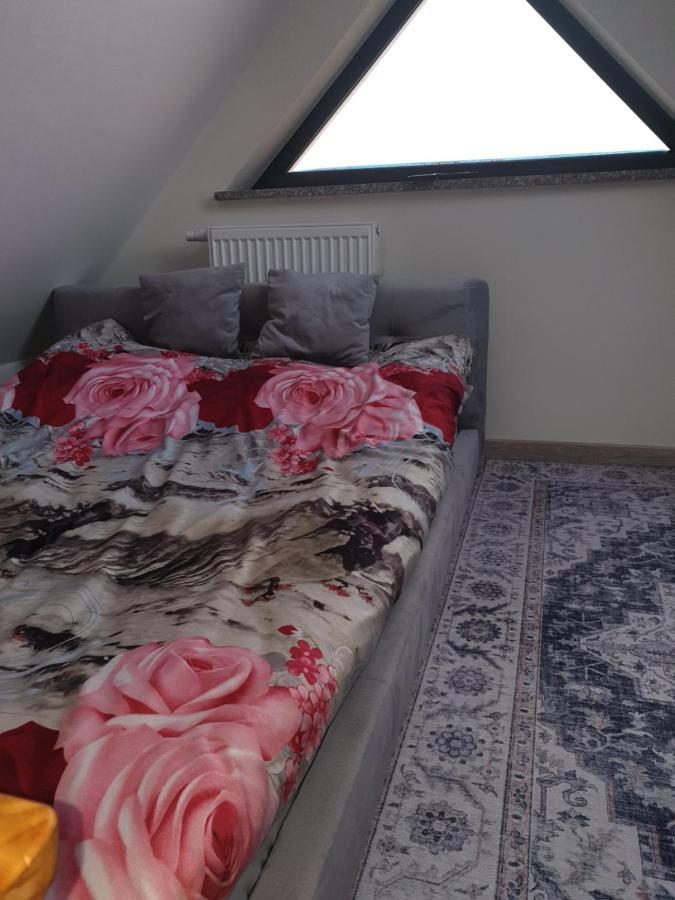 Apartament Szafran Вежхоцино Екстер'єр фото