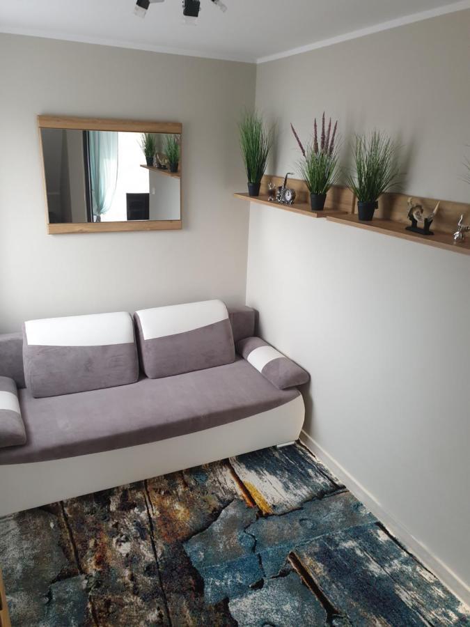 Apartament Szafran Вежхоцино Екстер'єр фото