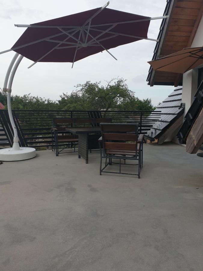 Apartament Szafran Вежхоцино Екстер'єр фото